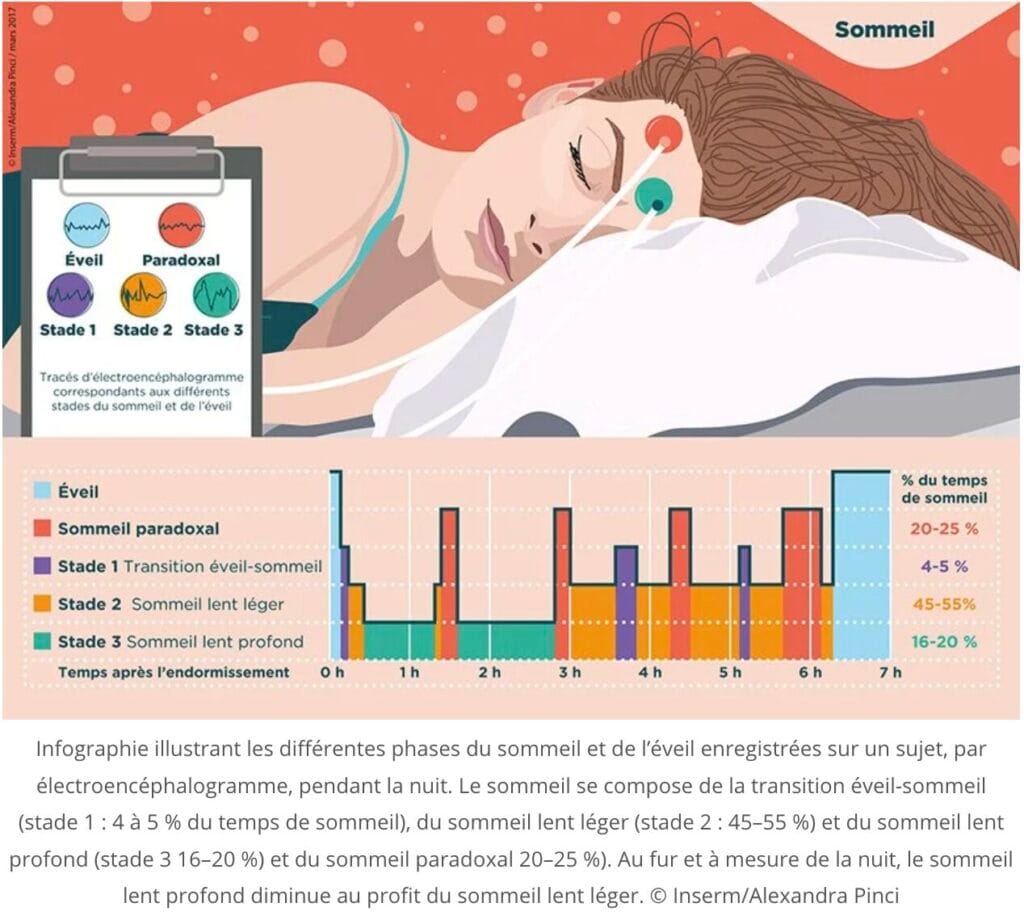 sommeil